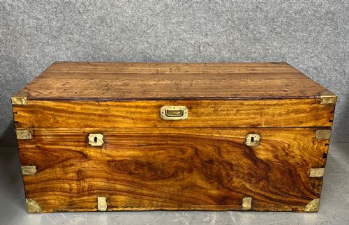 Antique Camphor Wood Campaign Trunk/chest