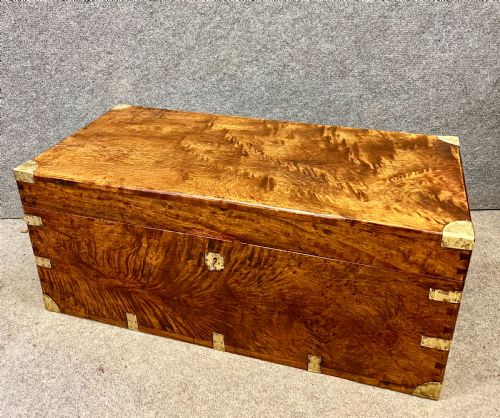 19th C. Camphor Wood Campaign Trunk