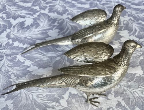 Pair of Silver Pheasants