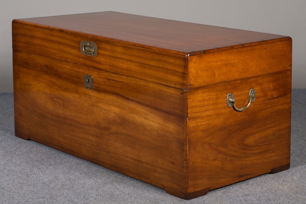 Camphor Wood Trunk/Coffee Table
