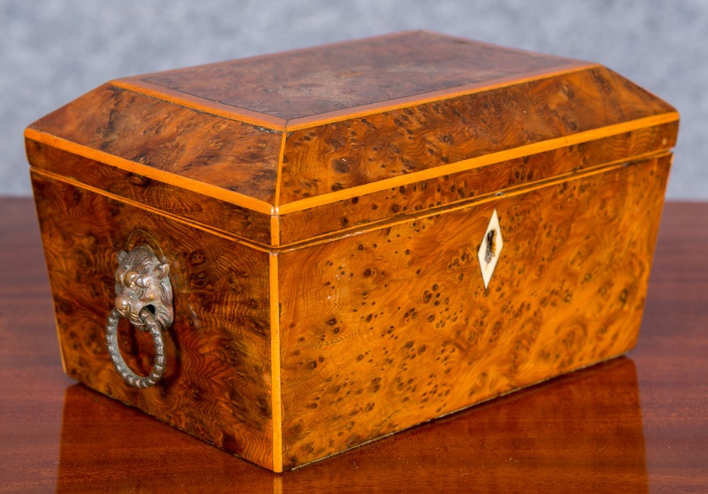 Yew Wood Tea Caddy