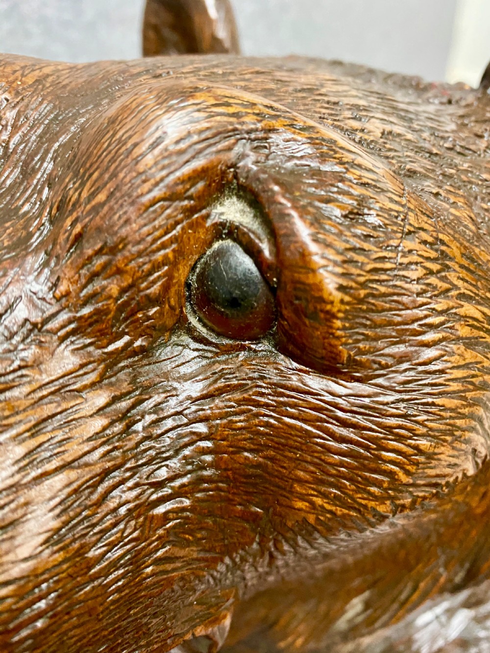 Antique Black Forest Bear View IX