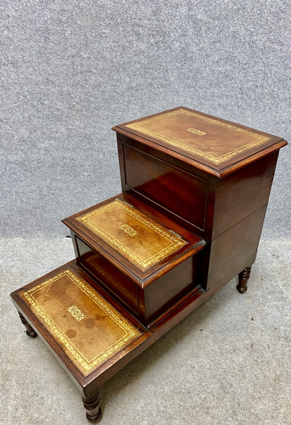 Antique Mahogany Library Steps View V