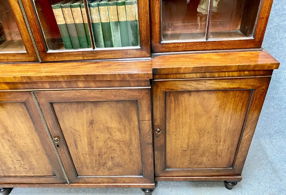 George IV Mahogany Breakfront Bookcase View VIII