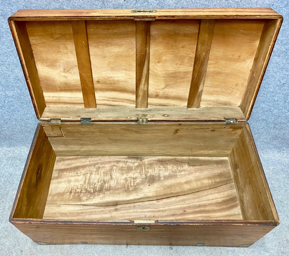 Anglo-Indian Camphor Campaign Trunk View III
