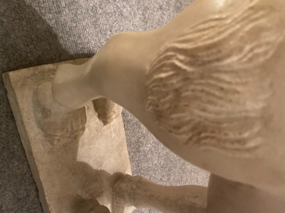 Unusual Pair Of Marble Bactrian Camels View VIII