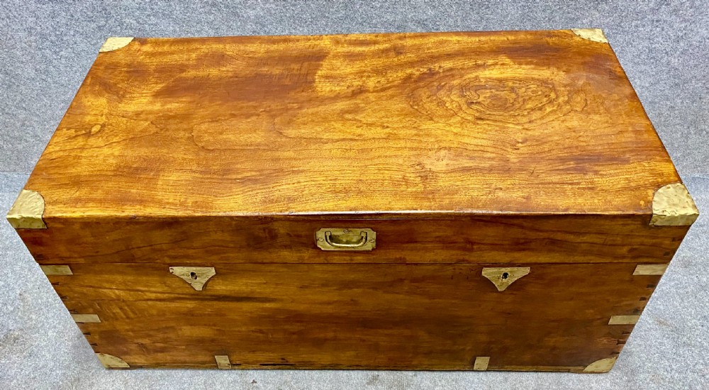 Antique Anglo Indian Camphor Wood Trunk View II
