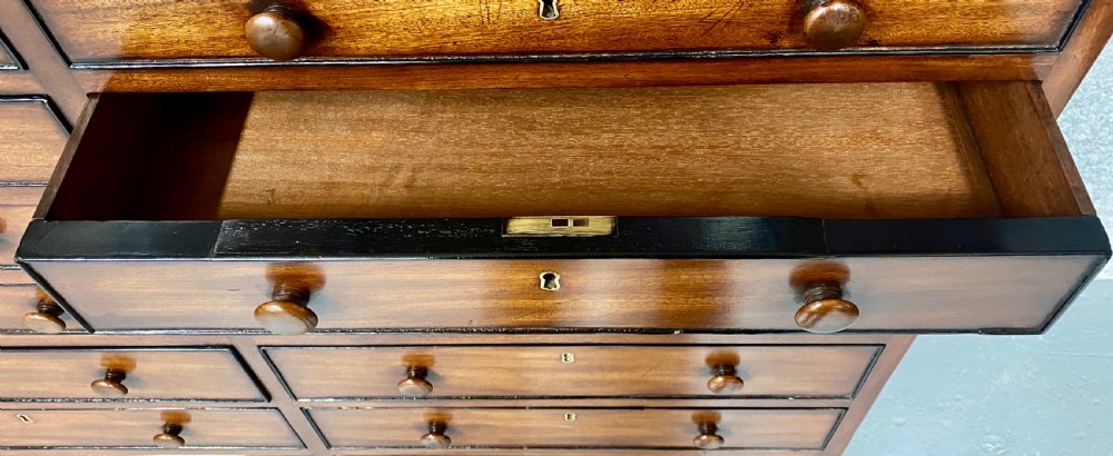 Superb George IV Collectors Chest of Drawers View IV