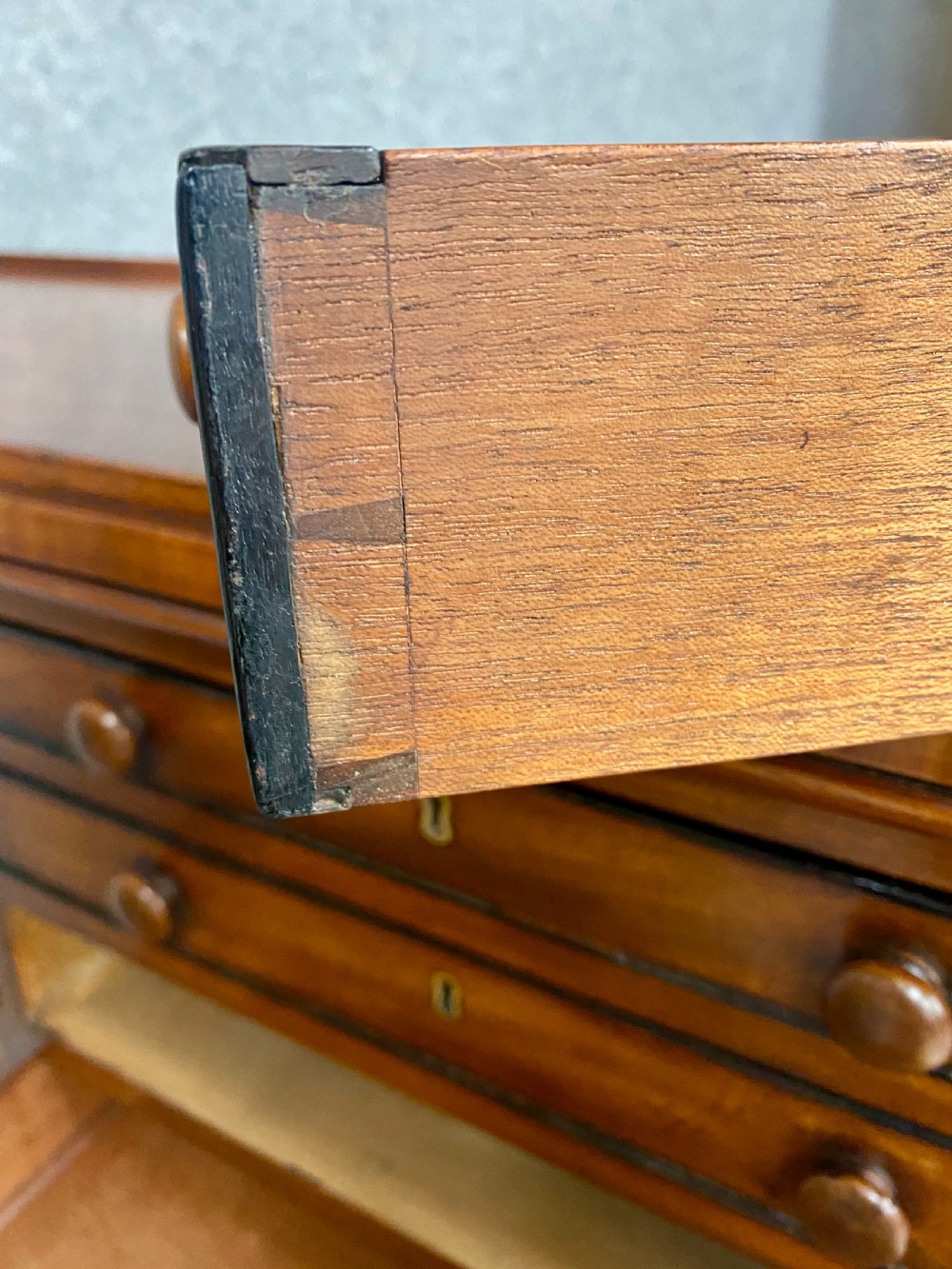 Superb George IV Collectors Chest of Drawers View VII