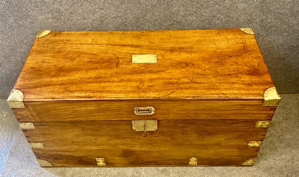 19th.C. Anglo Indian Camphor Wood Trunk View II