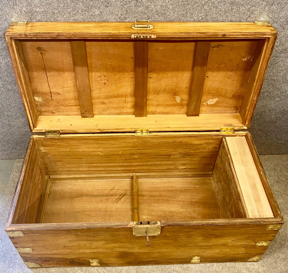 19th.C. Anglo Indian Camphor Wood Trunk View III