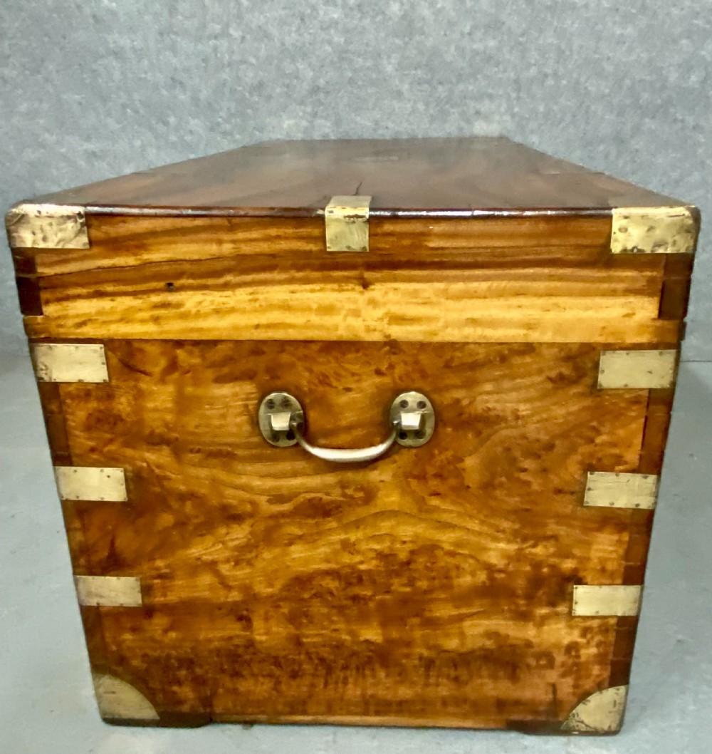 Large Antique  Anglo Indian Camphor Wood Trunk View V