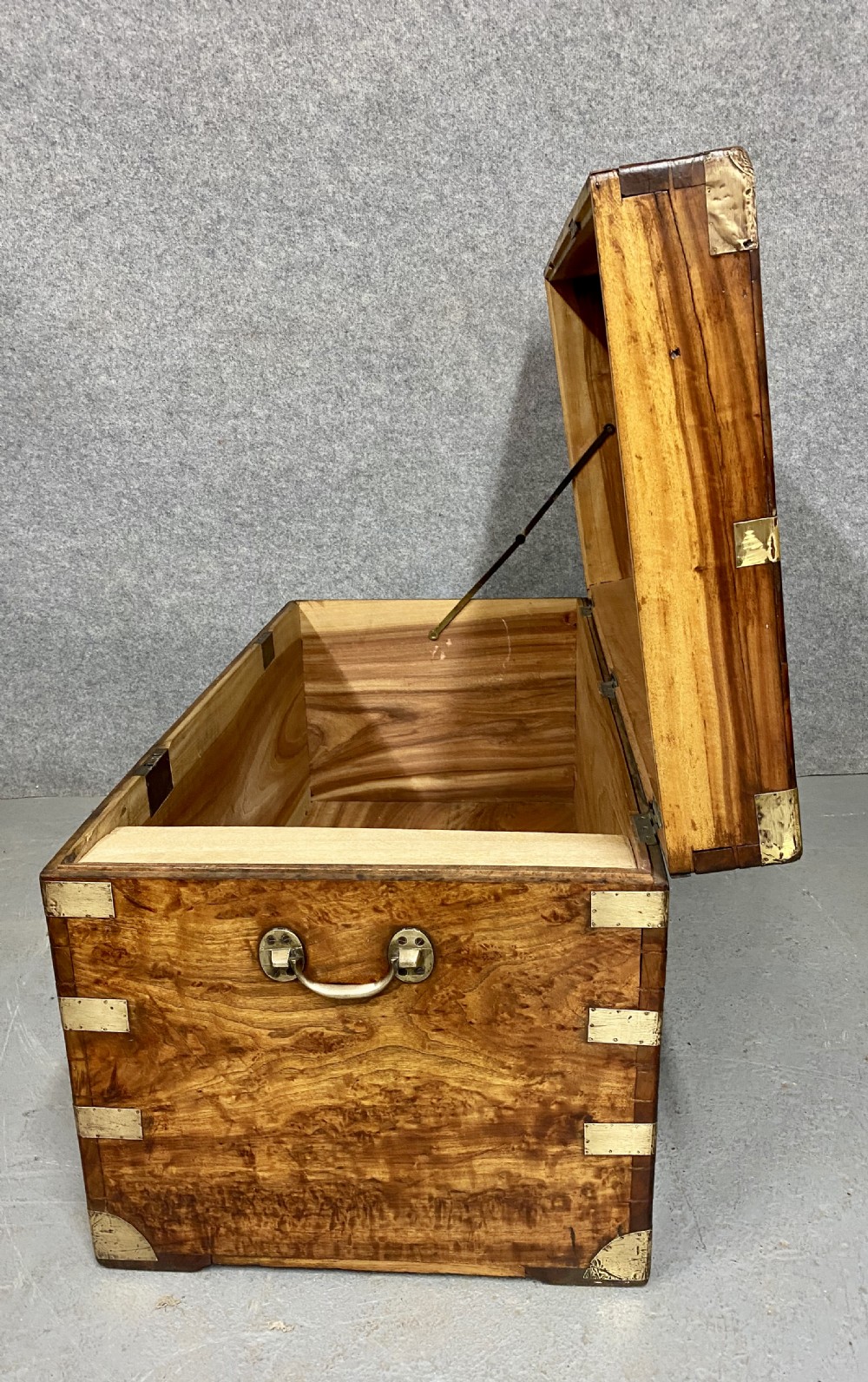 Large Antique  Anglo Indian Camphor Wood Trunk View X