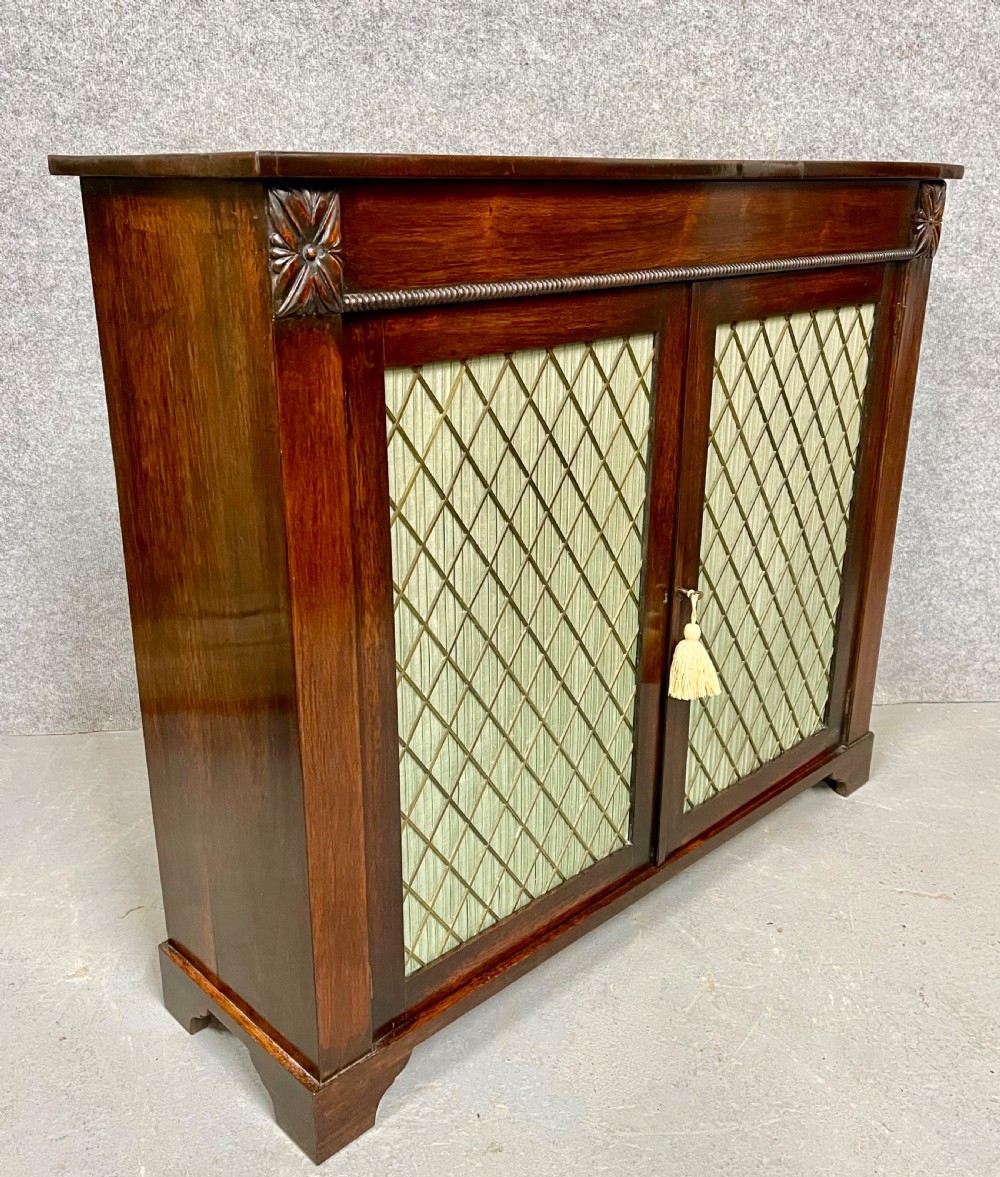 Small Regency Rosewood Side Cabinet View VI