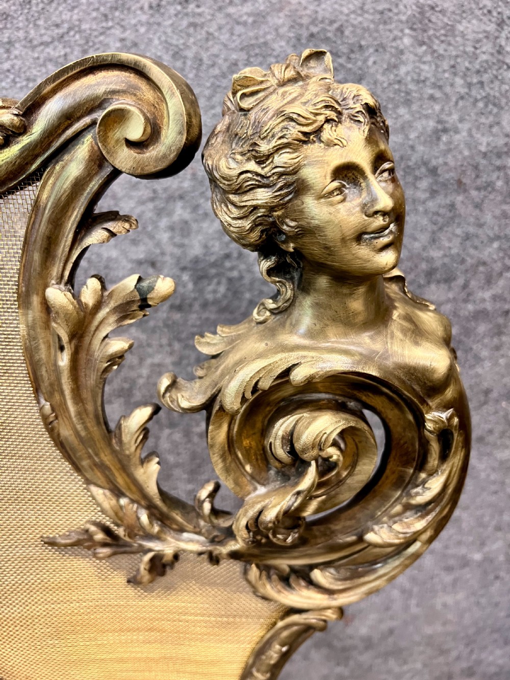 Superb Antique French Fire Guard View III