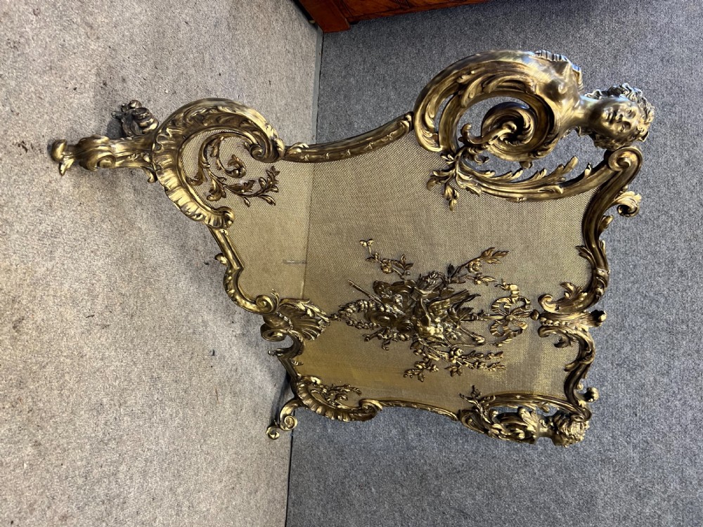 Superb Antique French Fire Guard View VIII