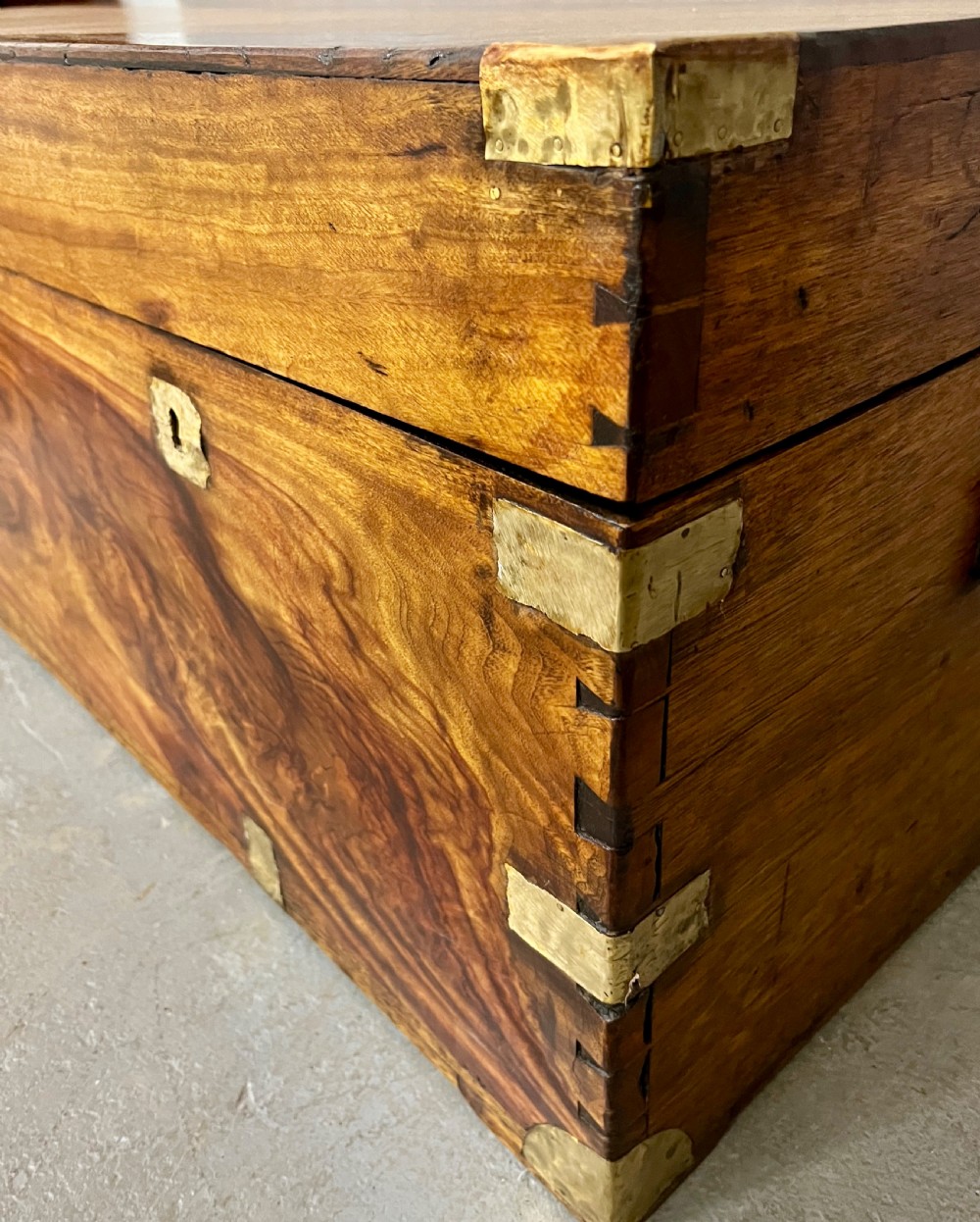 Antique Camphor Wood Campaign Trunk/Chest View VI