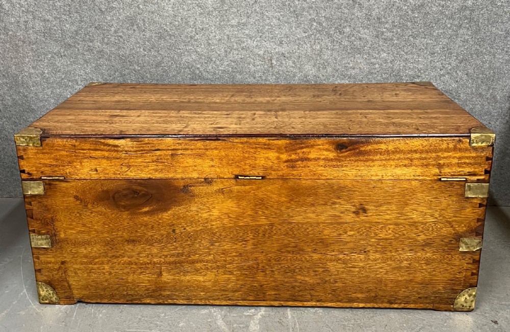 Antique Camphor Wood Campaign Trunk/Chest View VII