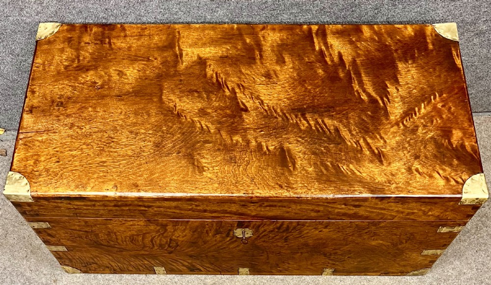 19th C. Camphor Wood Campaign Trunk View II