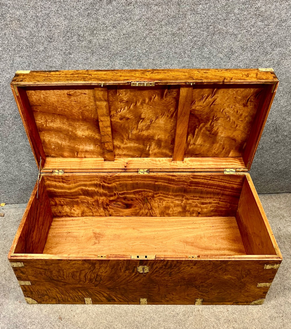 19th C. Camphor Wood Campaign Trunk View III