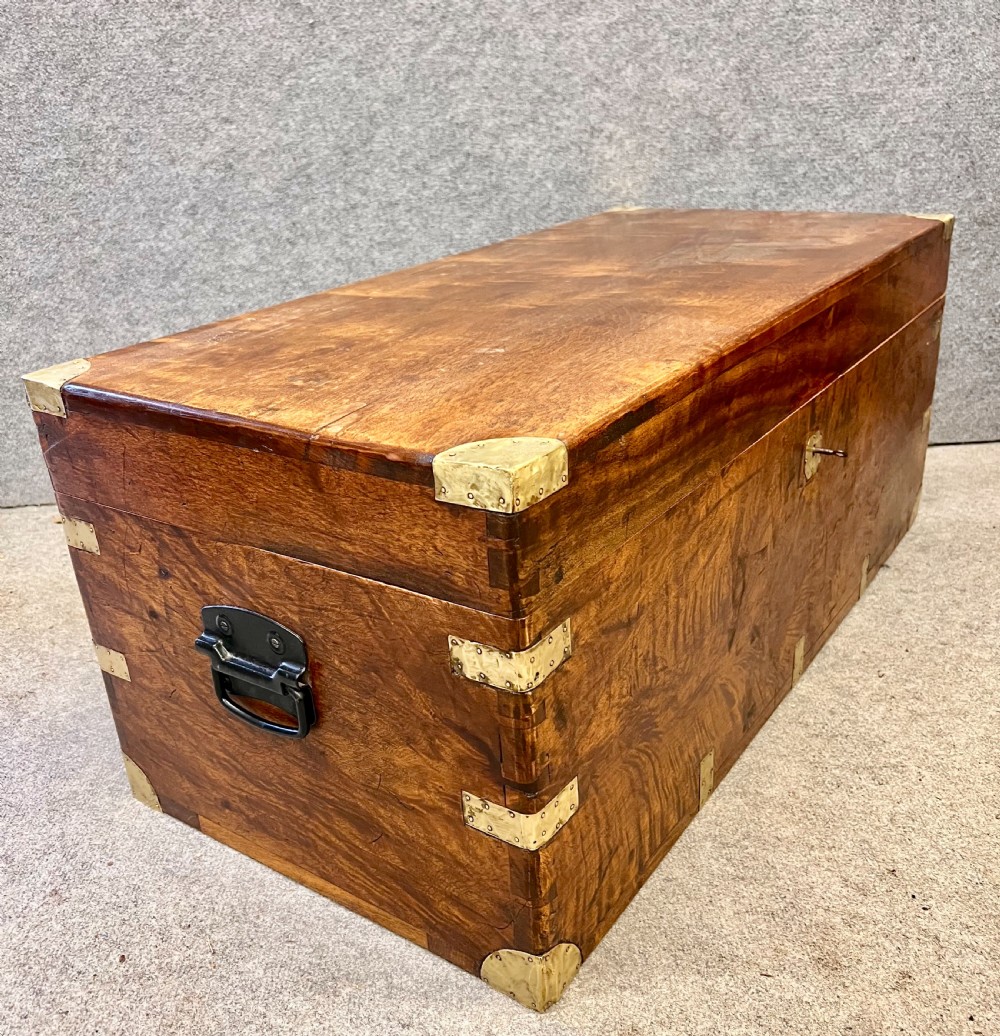 19th C. Camphor Wood Campaign Trunk View IV