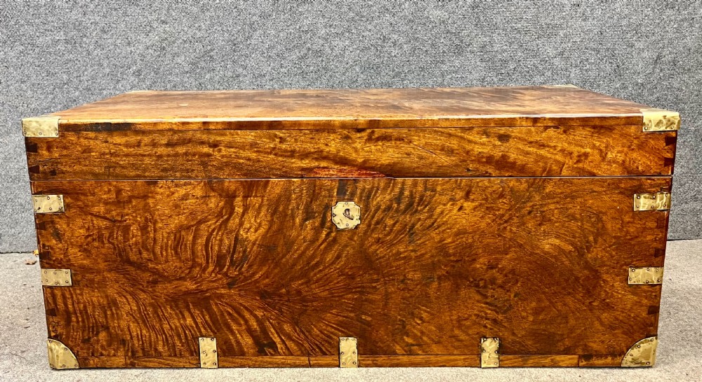 19th C. Camphor Wood Campaign Trunk View VI