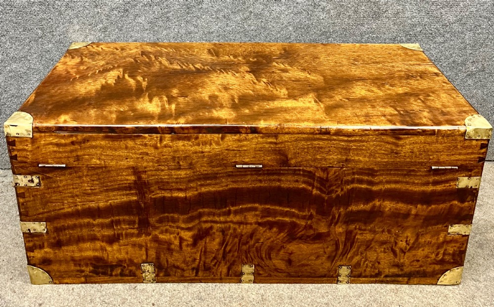 19th C. Camphor Wood Campaign Trunk View VII
