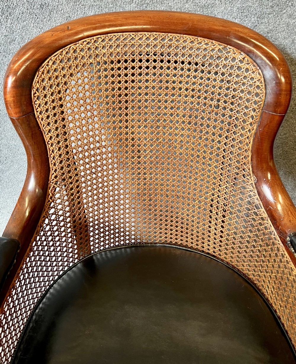 George IV Mahogany Bergere Library Chair View V