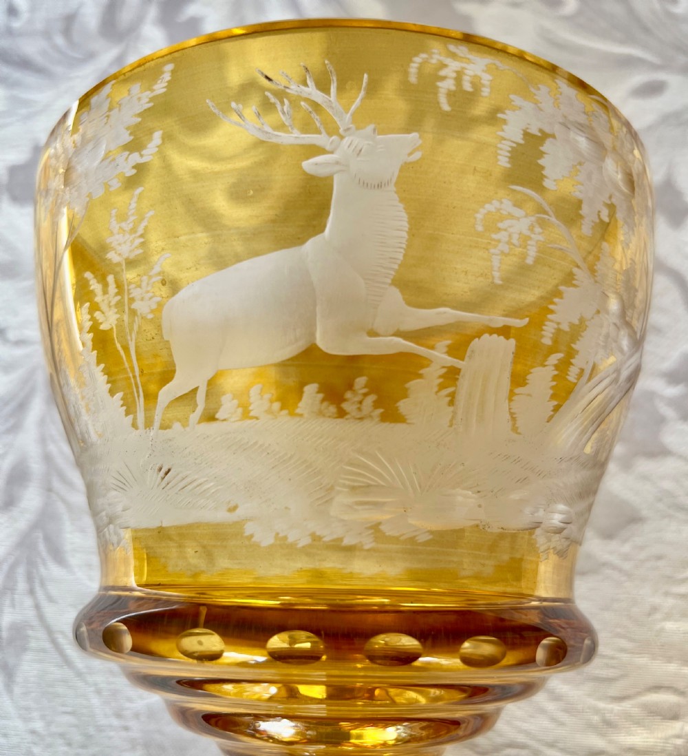 Large Bohemian Engraved Goblet View V