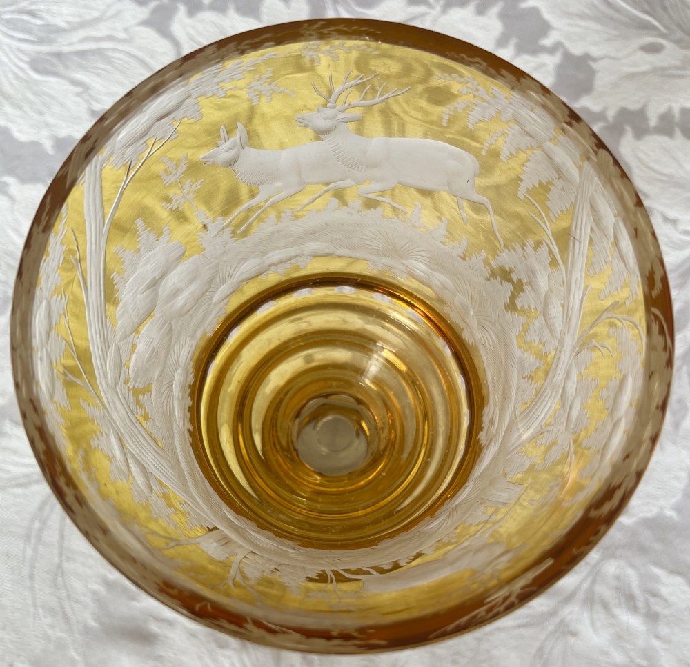 Large Bohemian Engraved Goblet View XI