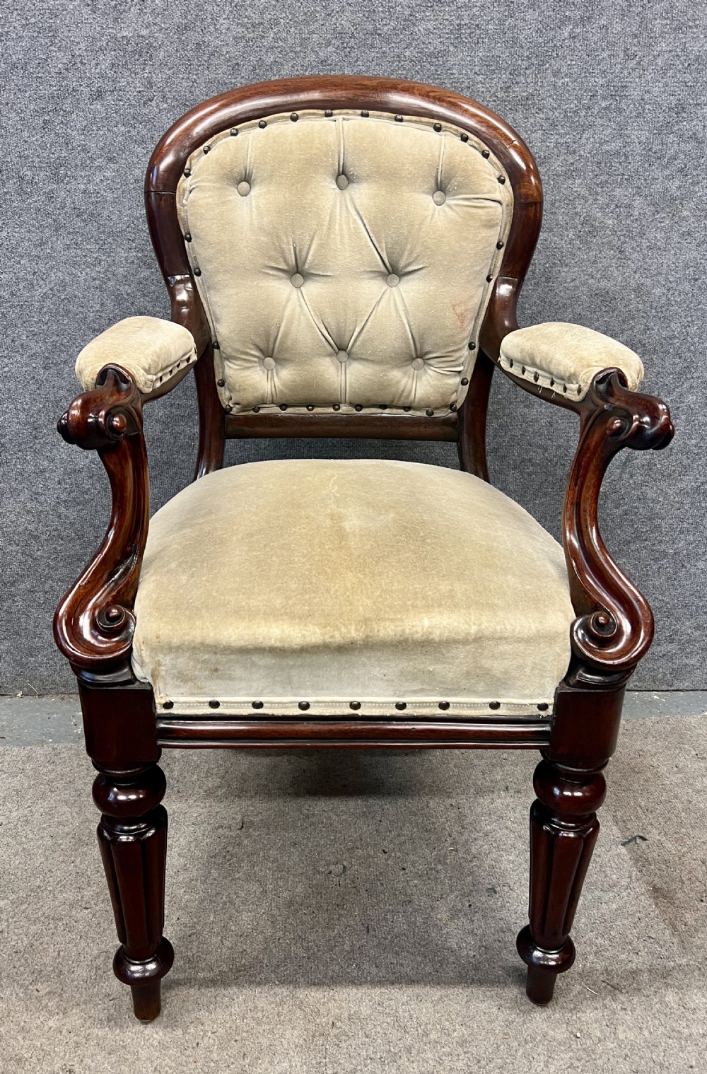 Victorian carved mahogany elbow chair featuring deep-buttoned beige velvet upholstery, padded armrests, turned front legs, and stud trim. View II