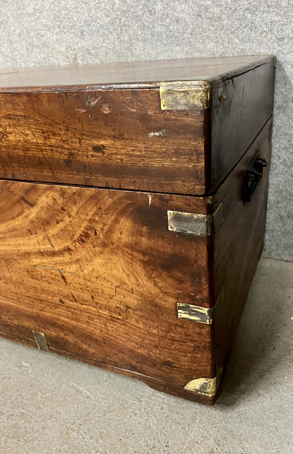 Antique Camphor Wood Campaign Trunk Chest  View VI