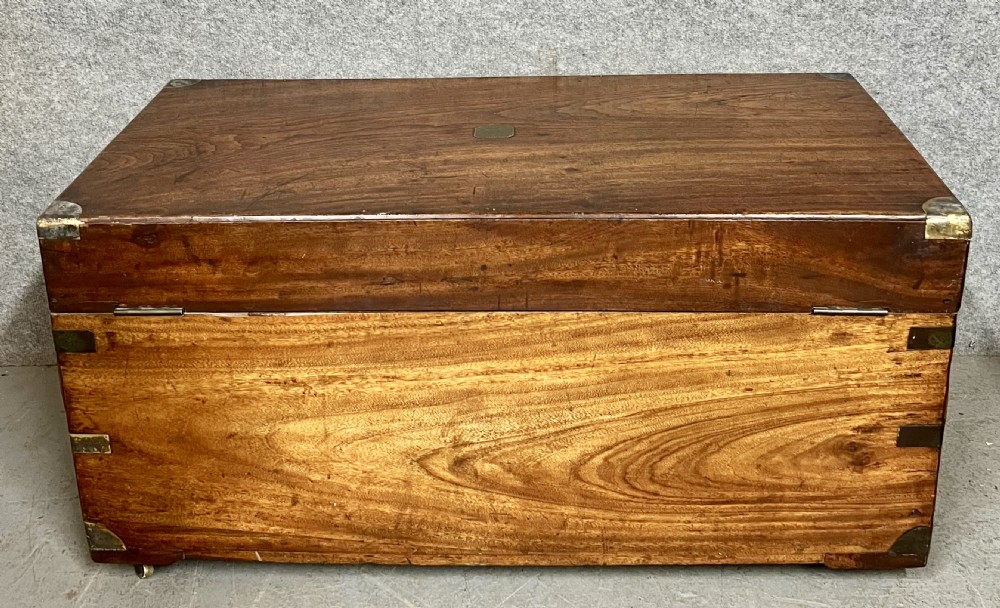 Antique Camphor Wood Campaign Trunk Chest  View VII