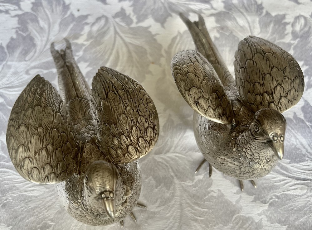 Pair of Silver Pheasants View III