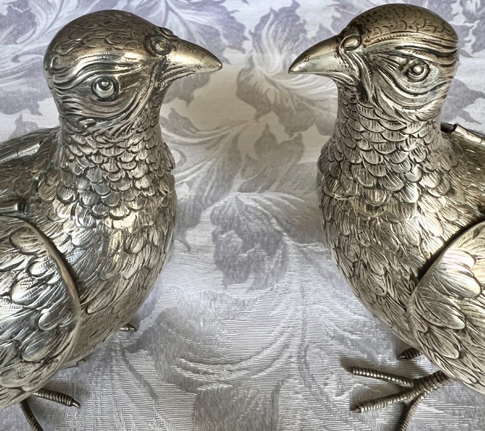 Pair of Silver Pheasants View XI