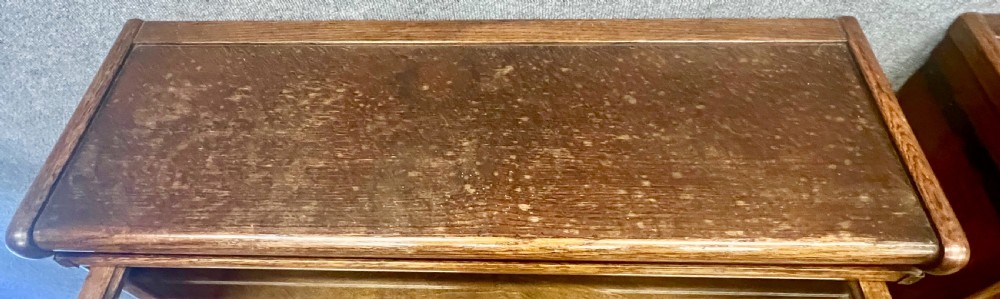 Pair of Globe Wernicke Oak Bookcases View VIII