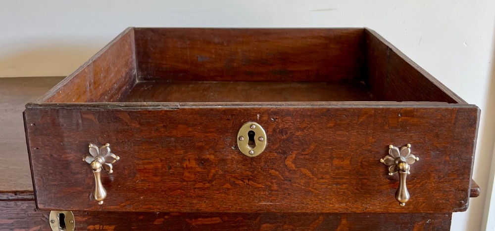 18th.C. Medullary Oak Mule Chest Coffer View IV