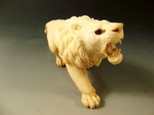 JAPANESE MEIJI PERIOD IVORY ROARING LION OKIMONO - ADDITIONAL PHOTO 2