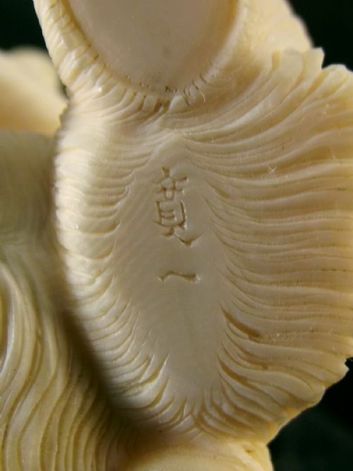 JAPANESE MEIJI PERIOD IVORY OKIMONO BEAR WITH TERRAPIN - ADDITIONAL PHOTO 7