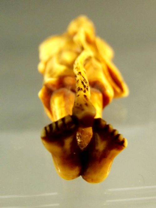 FINE JAPANESE IVORY NETSUKE OF A SENNIN EDO PERIOD - ADDITIONAL PHOTO 5