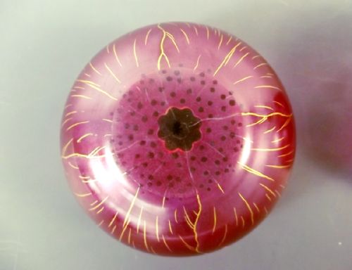 PAIR THERESIENTHAL GLASS ENAMELLED POPPY BOWLS - ADDITIONAL PHOTO 7