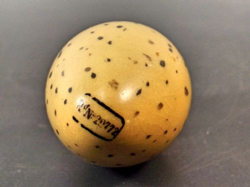 1885 HALLMARKED SILVER SAMPSON MORDAN QUAIL EGG SCENT BOTTLE - ADDITIONAL PHOTO 5
