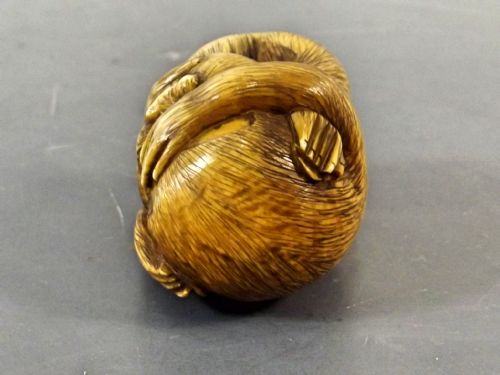 JAPANESE MEIJI PERIOD IVORY MONKEY NETSUKE SIGNED HIDEYUKI - ADDITIONAL PHOTO 5