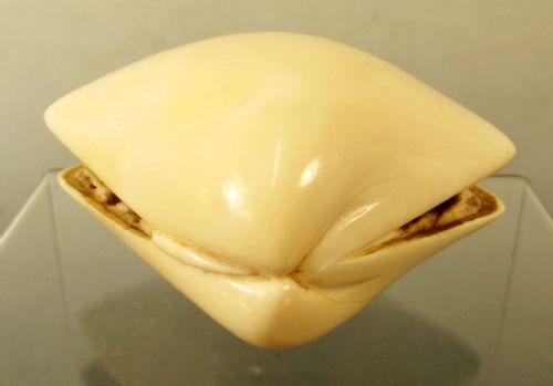 19TH C CHINESE CARVED IVORY WORLD IN A CLAM - ADDITIONAL PHOTO 3