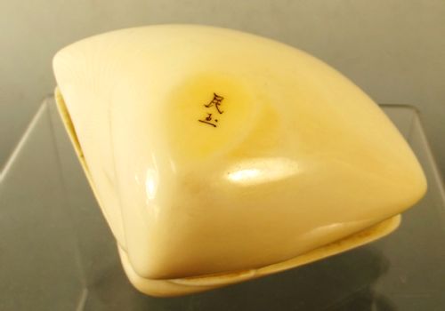 19TH C CHINESE CARVED IVORY WORLD IN A CLAM - ADDITIONAL PHOTO 7