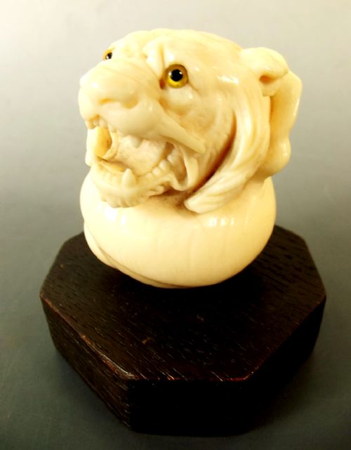 VICTORIAN CARVED IVORY TIGER AND CONCH SHELL WALKING STICK HANDLE - ADDITIONAL PHOTO 1