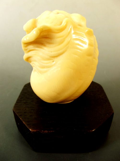 VICTORIAN CARVED IVORY TIGER AND CONCH SHELL WALKING STICK HANDLE - ADDITIONAL PHOTO 2