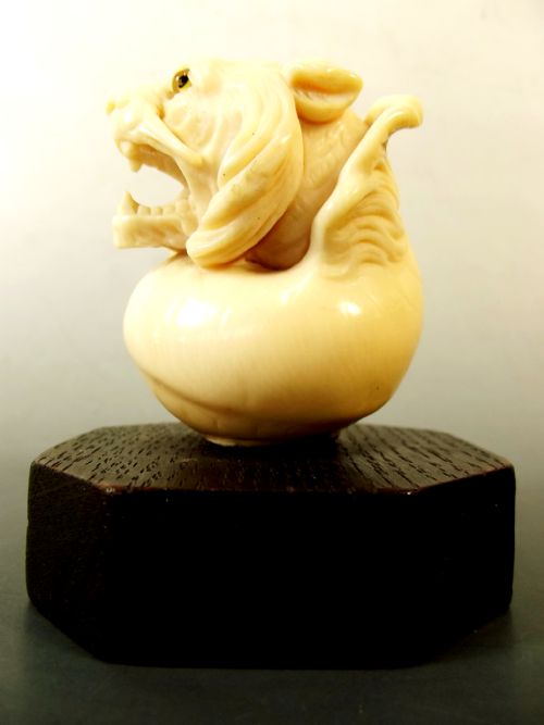 VICTORIAN CARVED IVORY TIGER AND CONCH SHELL WALKING STICK HANDLE - ADDITIONAL PHOTO 3