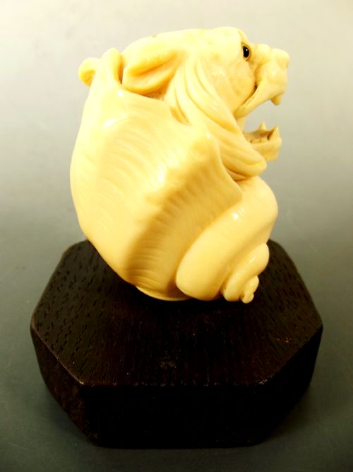VICTORIAN CARVED IVORY TIGER AND CONCH SHELL WALKING STICK HANDLE - ADDITIONAL PHOTO 4
