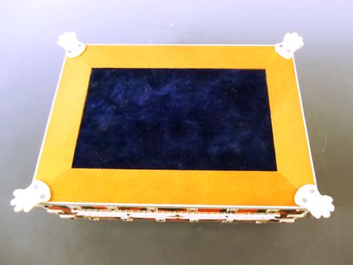 INDIAN TORTOISESHELL AND STAINTED IVORY CASKET C1900 - ADDITIONAL PHOTO 7